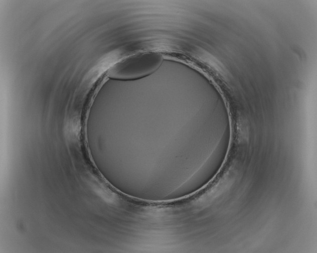 X0000113051065200909101934