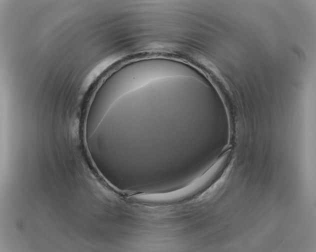 X0000113051066200909101934