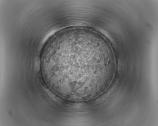 X0000113051067200909101934