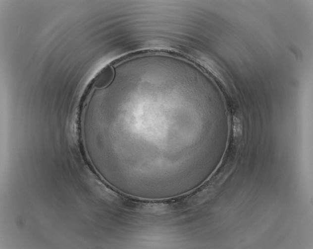 X0000113051068200909101934