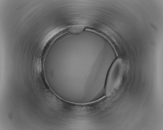 X0000113051069200909101934