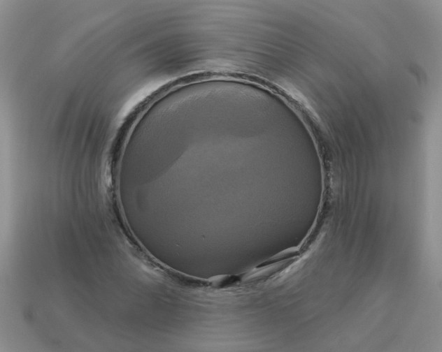 X0000113051070200909101934