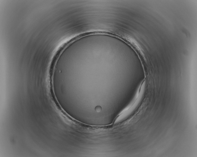 X0000113051072200909101934