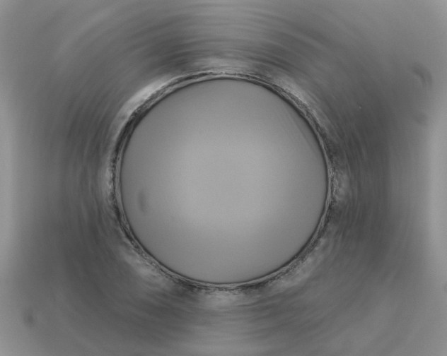 X0000113051074200909101934