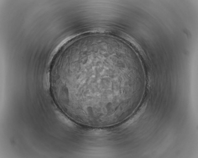 X0000113051075200909101934