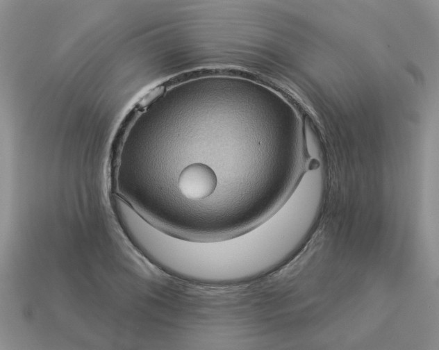 X0000113051076200909101934