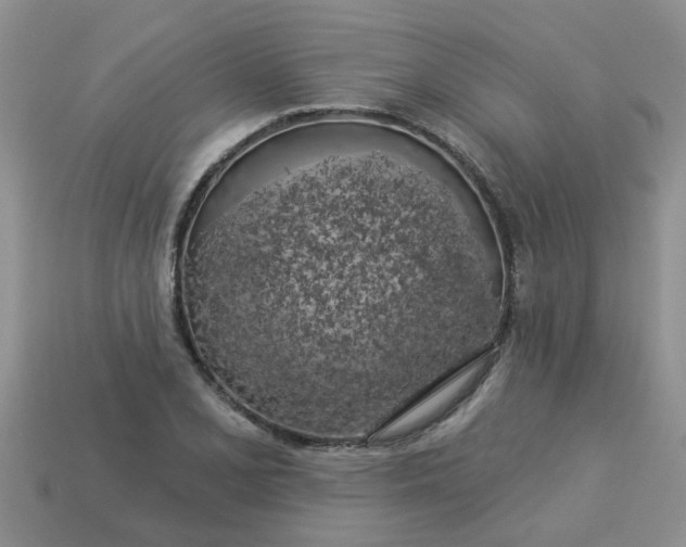 X0000113051077200909101934