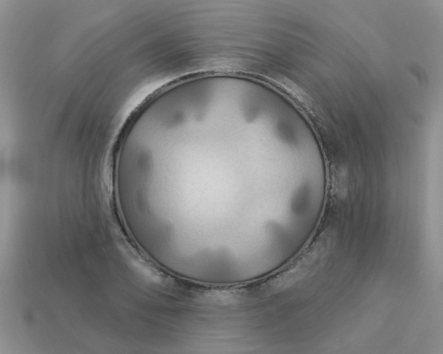 X0000113051078200909101934