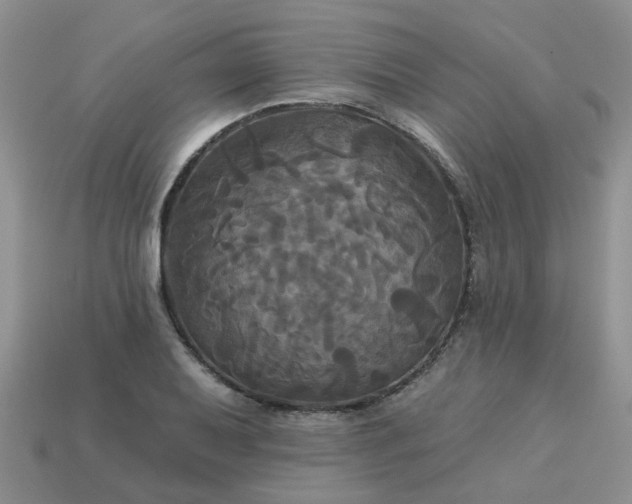 X0000113051079200909101934