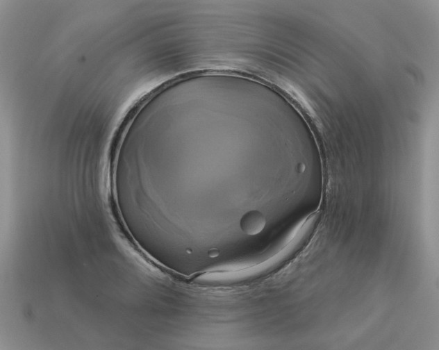 X0000113051080200909101934