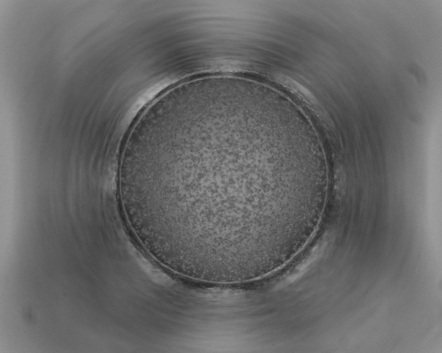 X0000113051081200909101934