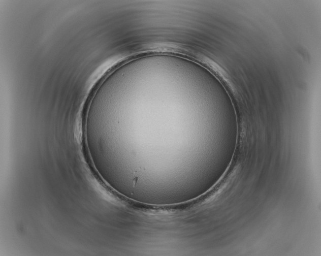 X0000113051082200909101934