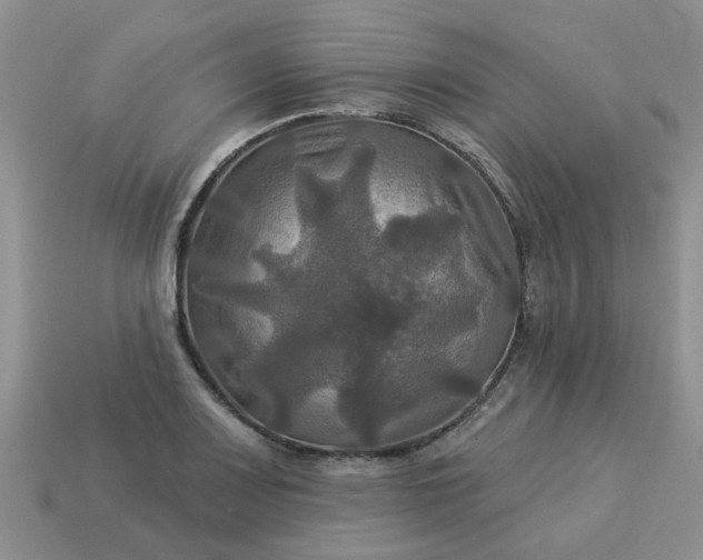 X0000113051083200909101934