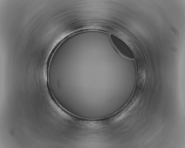 X0000113051084200909101934