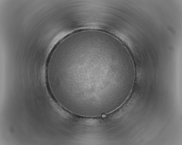 X0000113051085200909101934