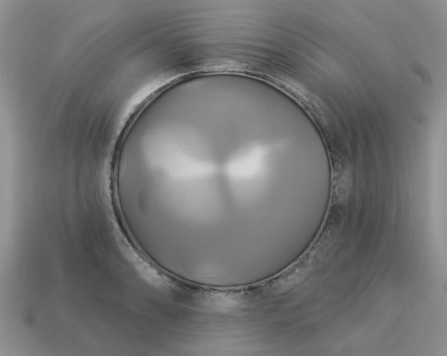 X0000113051086200909101934