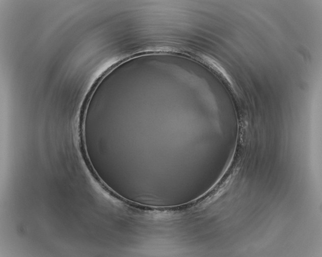 X0000113051087200909101934