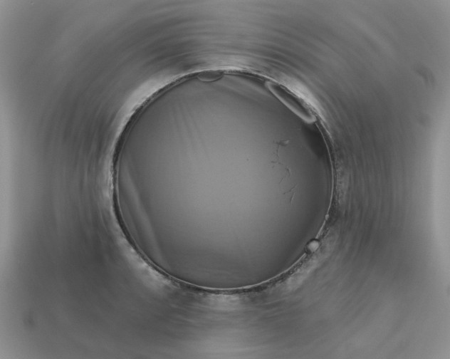 X0000113051088200909101934