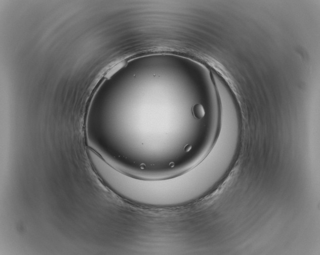 X0000113051089200909101934