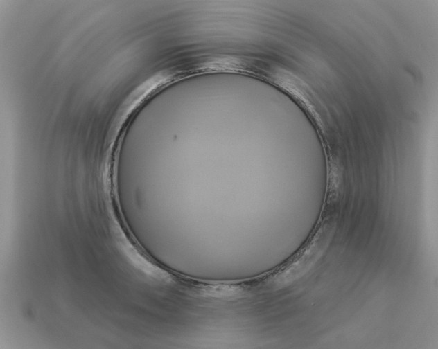 X0000113051090200909101934