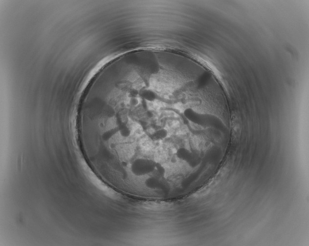 X0000113051091200909101934