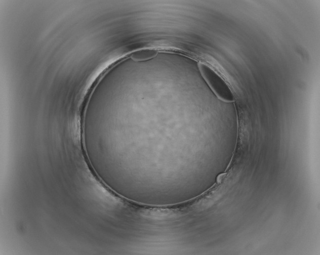 X0000113051092200909101934