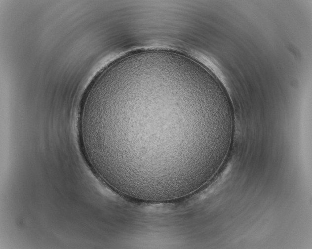 X0000113051093200909101934