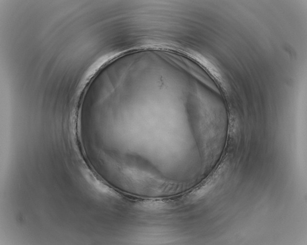 X0000113051094200909101934