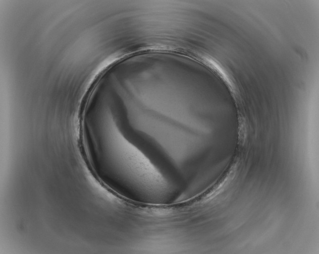 X0000113051095200909101934