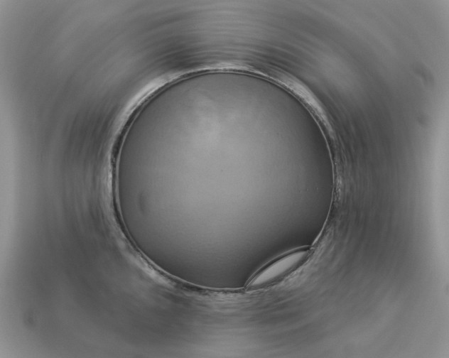 X0000113051096200909101934