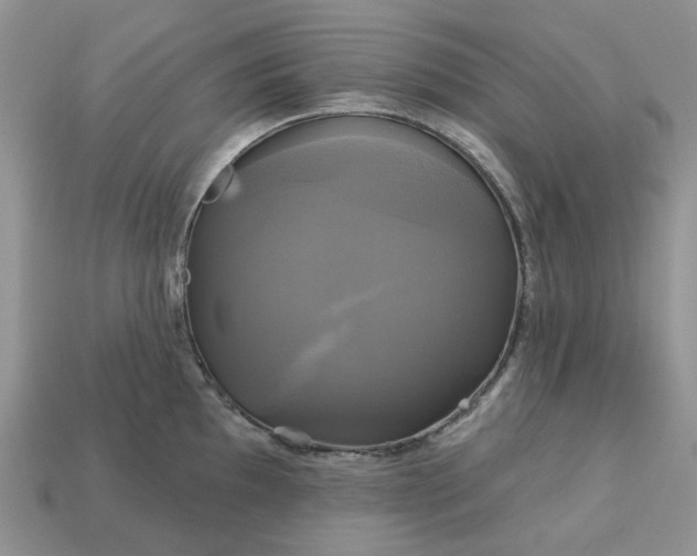 X0000113051097200909101934