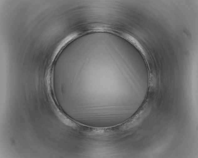 X0000113051098200909101934