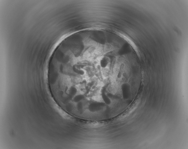 X0000113051099200909101934