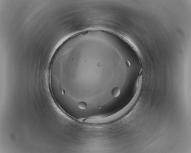 X0000113051100200909101934