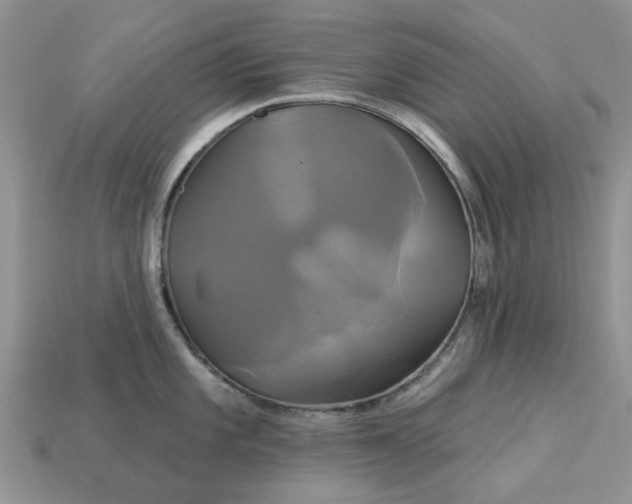 X0000113051101200909101934