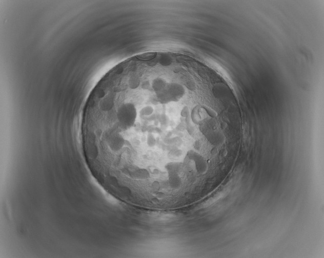 X0000113051103200909101934