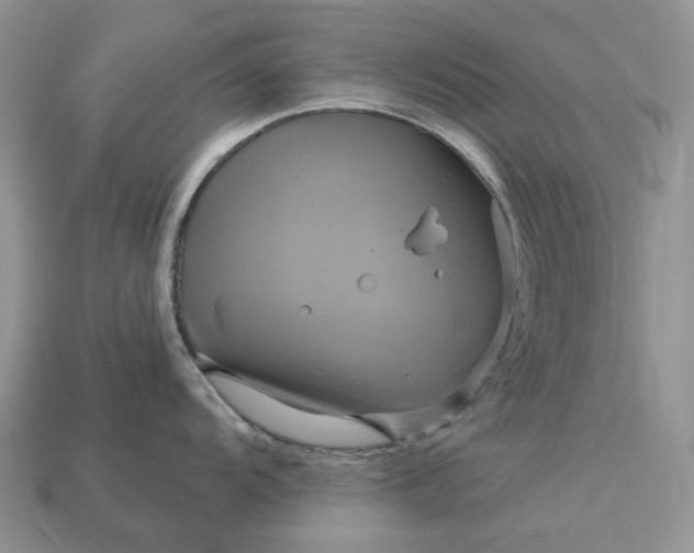 X0000113051104200909101934