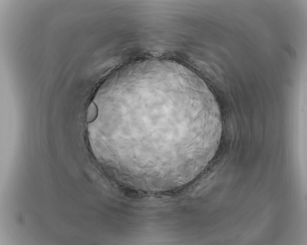 X0000113051105200909101933