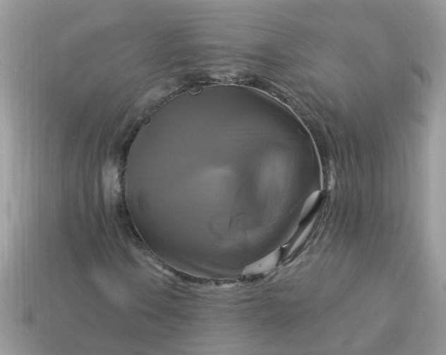 X0000113051106200909101933