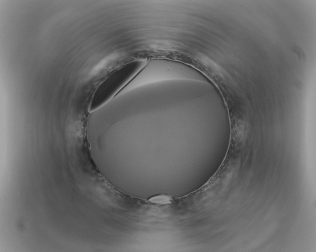 X0000113051110200909101933