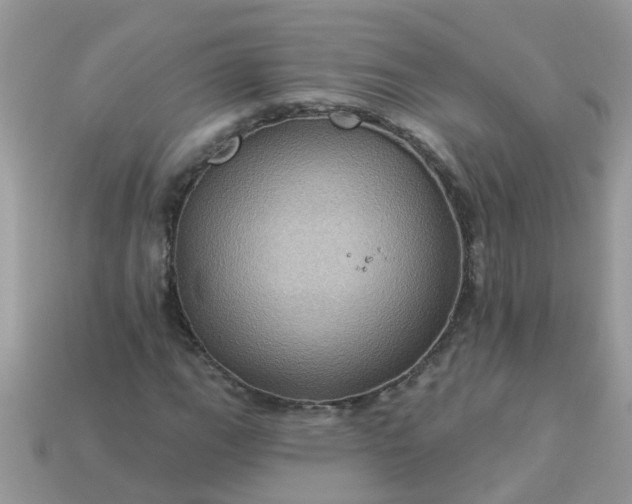 X0000113051111200909101933