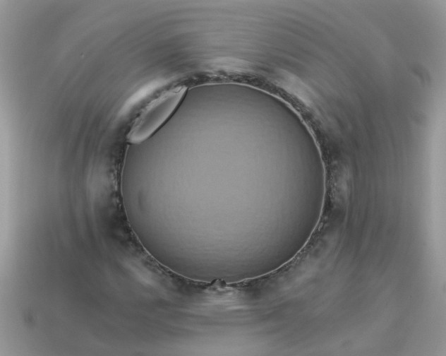 X0000113051112200909101933