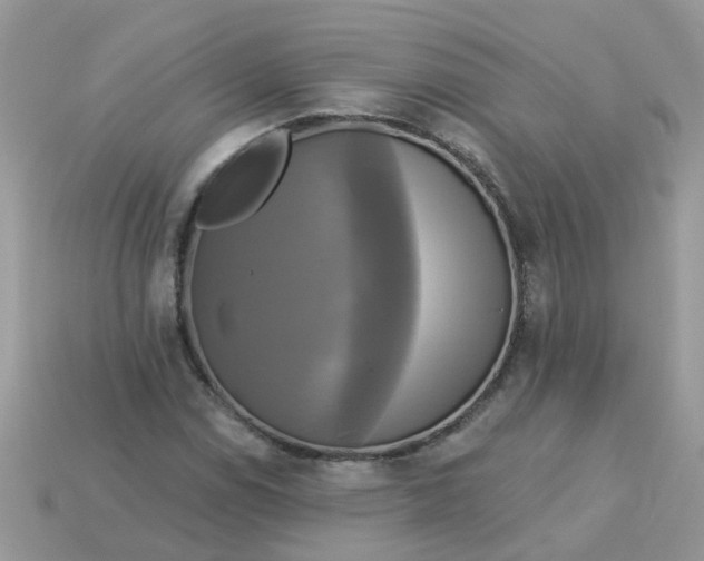 X0000113051114200909101933