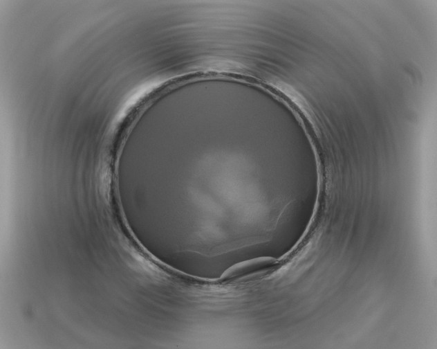 X0000113051115200909101933