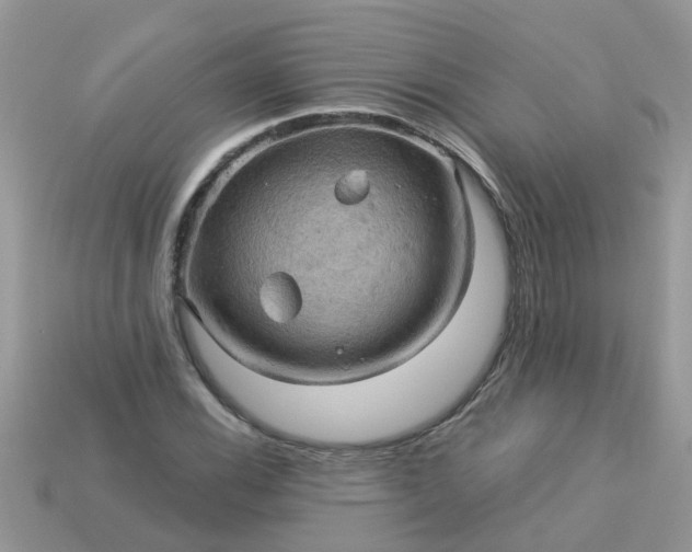 X0000113051116200909101933