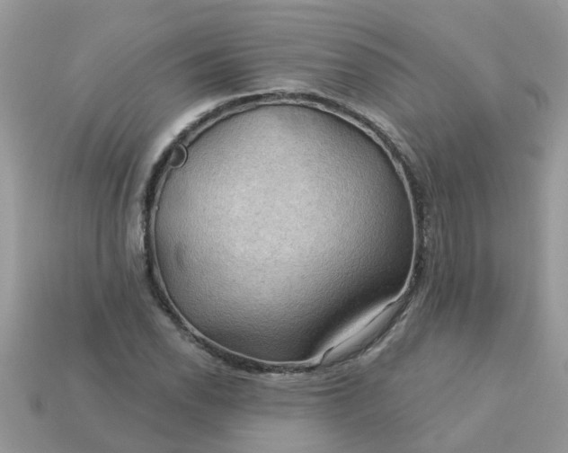 X0000113051118200909101933