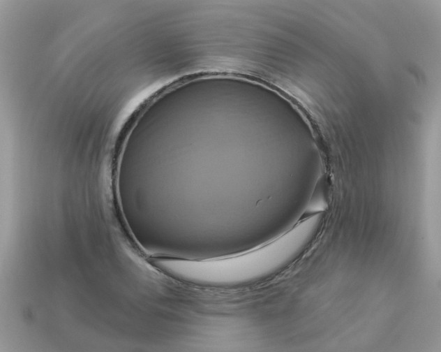 X0000113051120200909101933