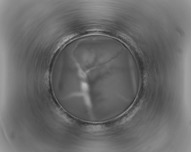 X0000113051121200909101933