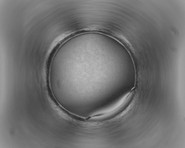 X0000113051122200909101933