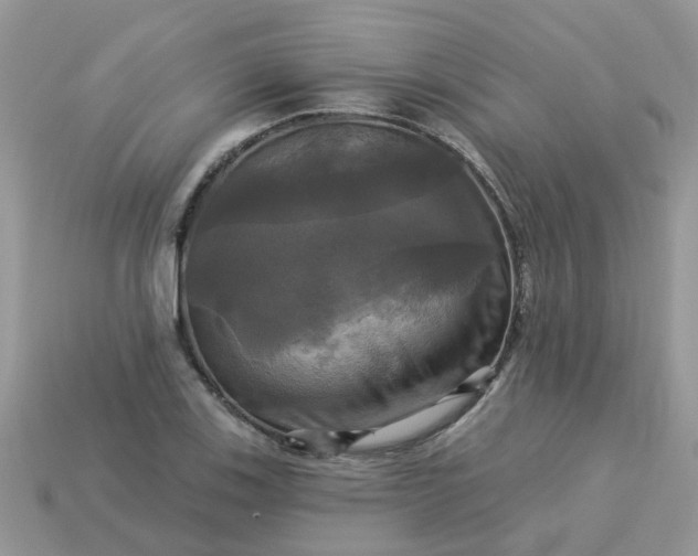 X0000113051123200909101933